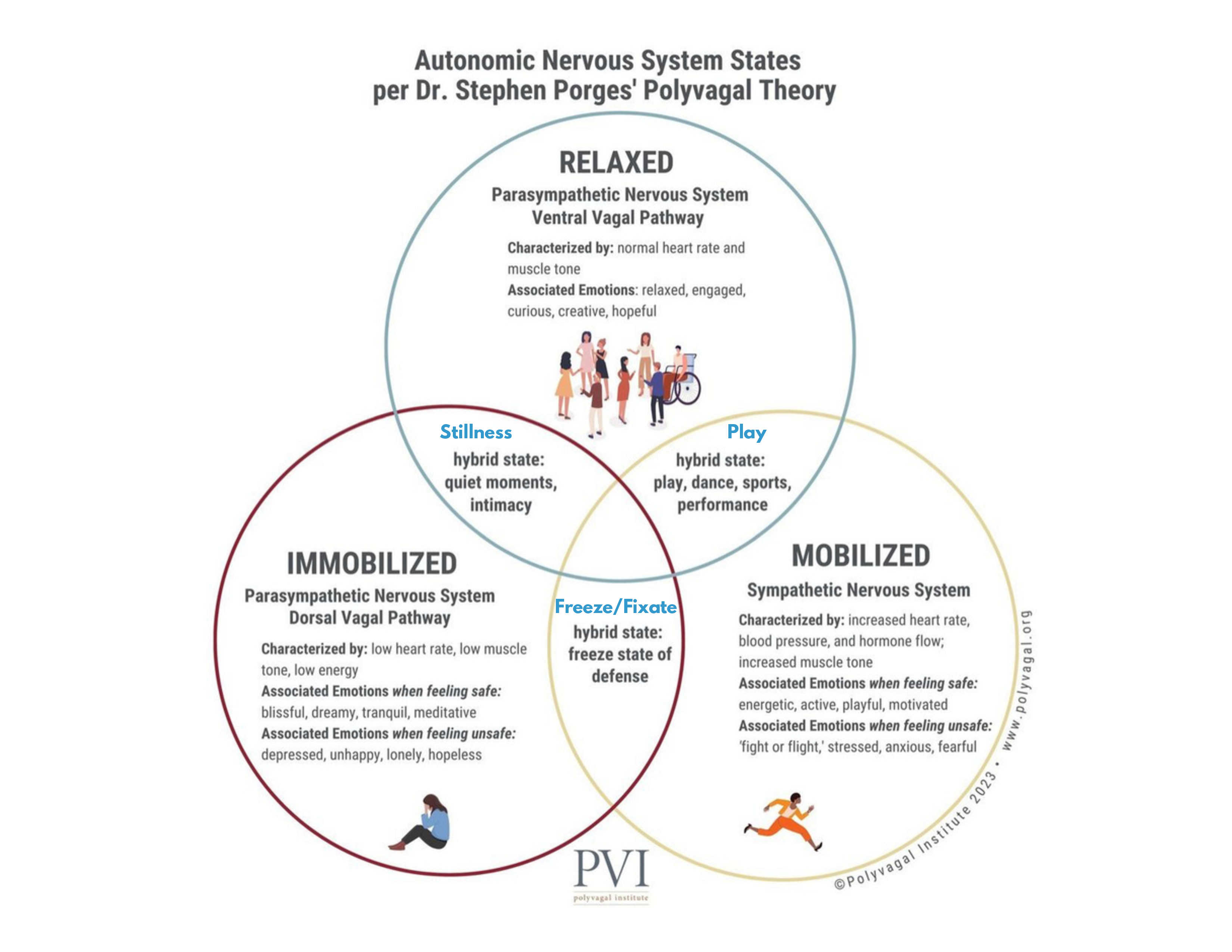 Polyvagal Theory Somatic Movement